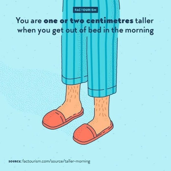 Intriguing Facts (32 pics)