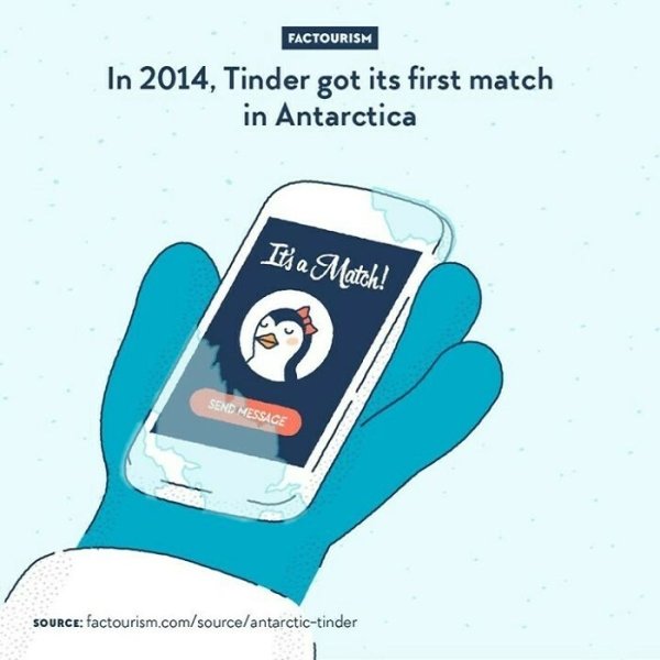 Intriguing Facts (32 pics)