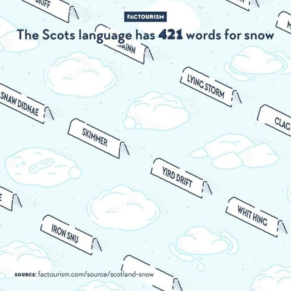 Intriguing Facts (32 pics)