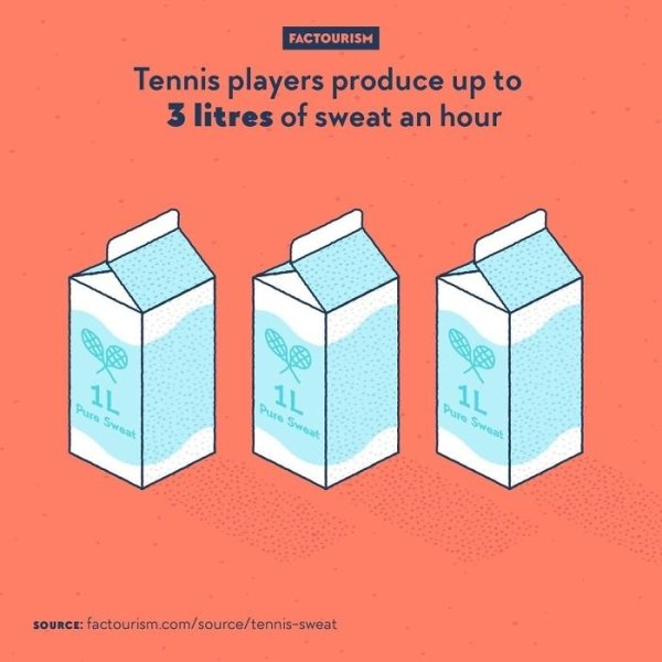 Intriguing Facts (32 pics)