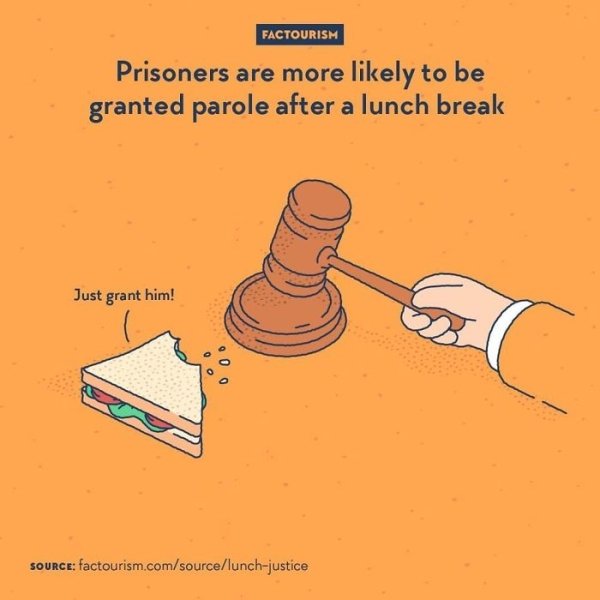 Intriguing Facts (32 pics)