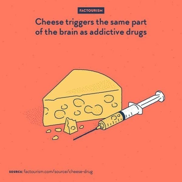 Intriguing Facts (32 pics)