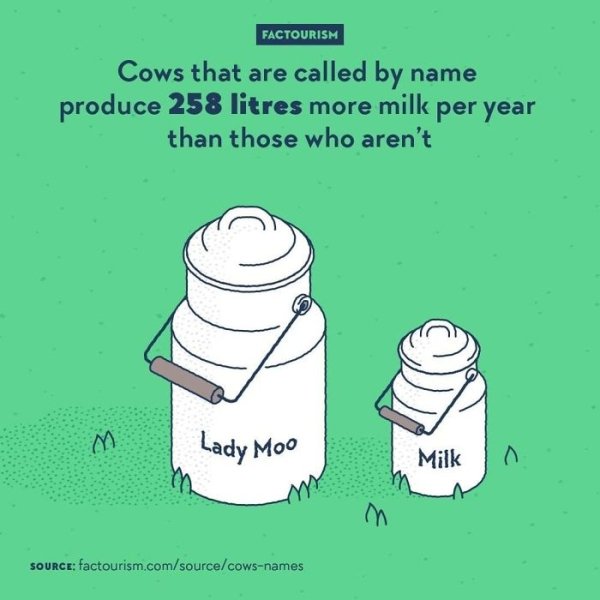 Intriguing Facts (32 pics)