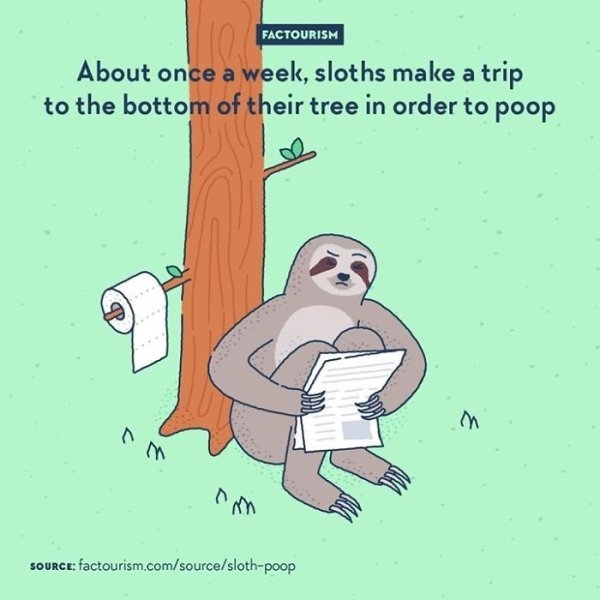Intriguing Facts (32 pics)