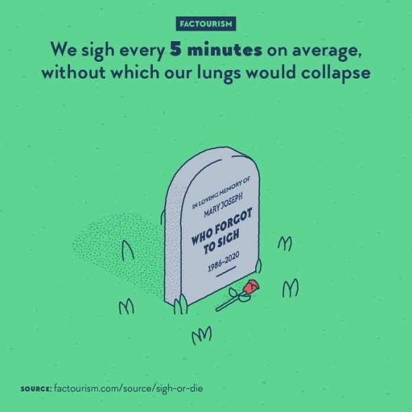 Intriguing Facts (32 pics)