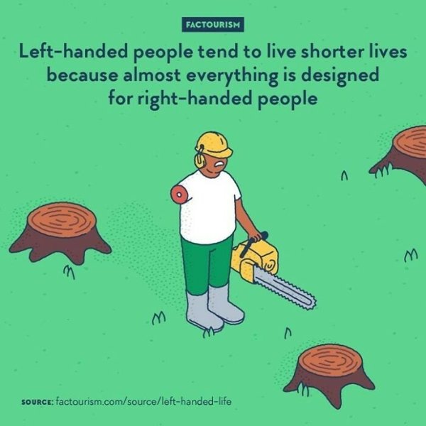 Intriguing Facts (32 pics)