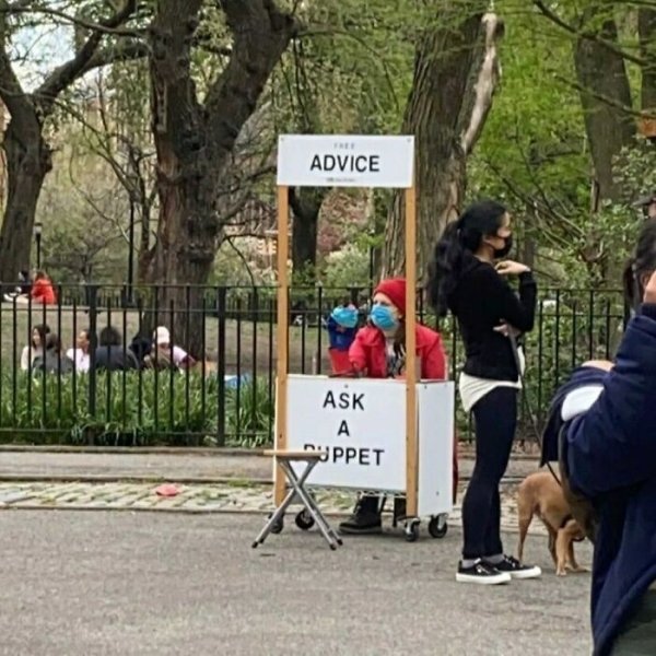 New York Life (29 pics)