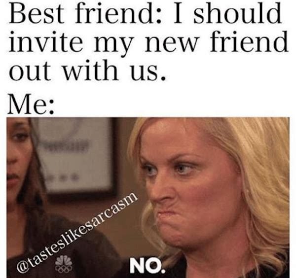 Best Friend Memes (33 pics)