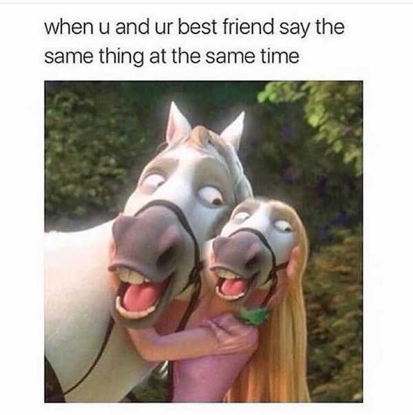 Best Friend Memes (33 pics)