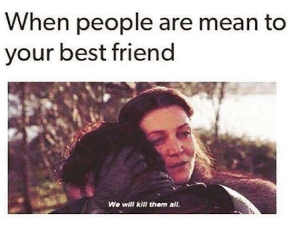 Best Friend Memes (33 pics)