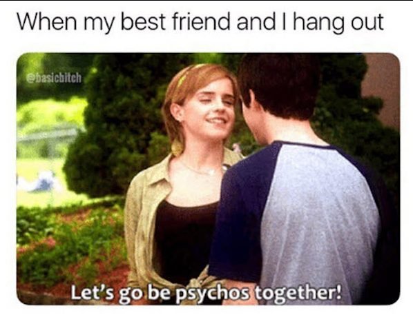 Best Friend Memes (33 pics)