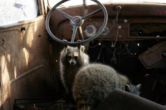 Acid Picdump 1 (47 pics)