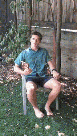 Acid Gifdump, June 9 (25 gifs)