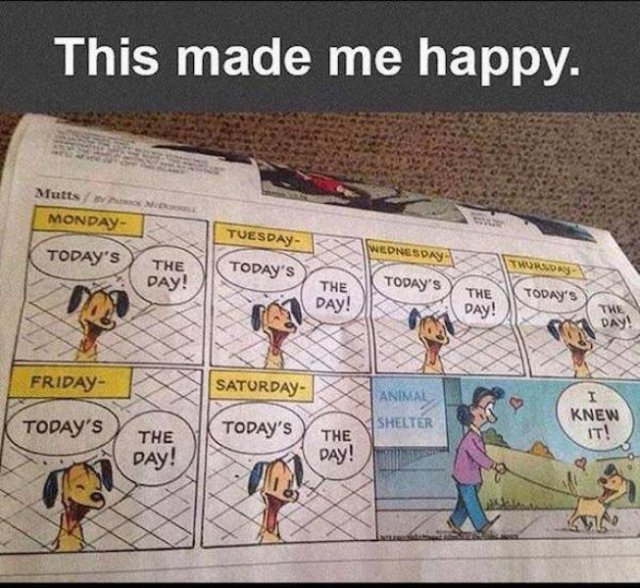 Wholesome Memes (40 pics)