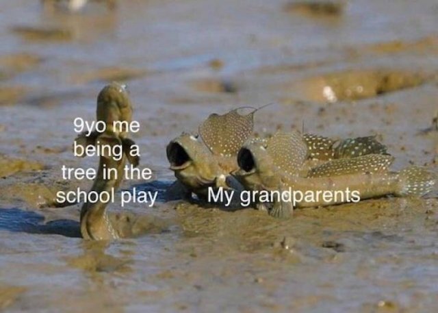 Wholesome Memes (40 pics)