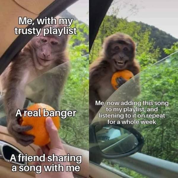 Wholesome Memes (40 pics)
