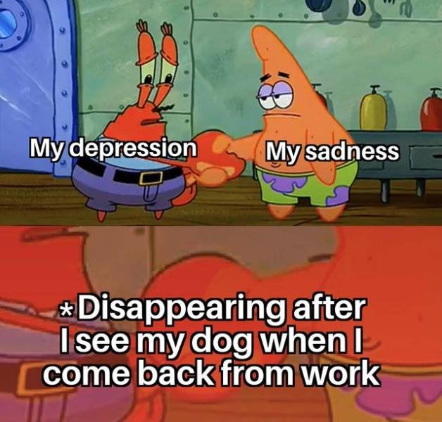 Wholesome Memes (40 pics)