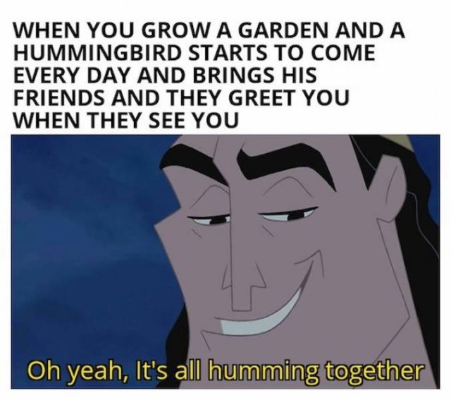 Wholesome Memes (40 pics)