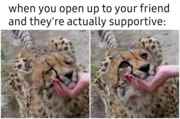 Wholesome Memes (40 pics)