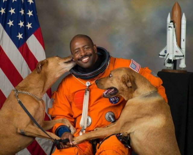 Funny Dogs (47 pics)