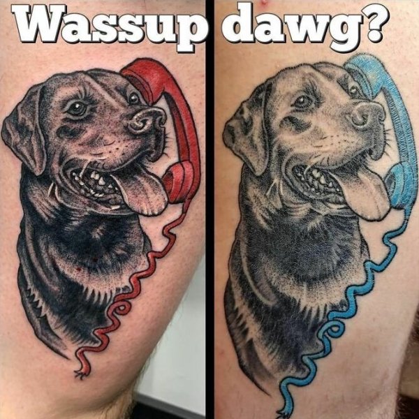 Memes Tattoos (27 pics)