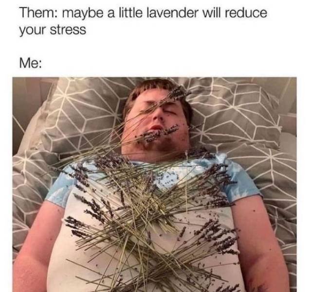 So True (36 pics)