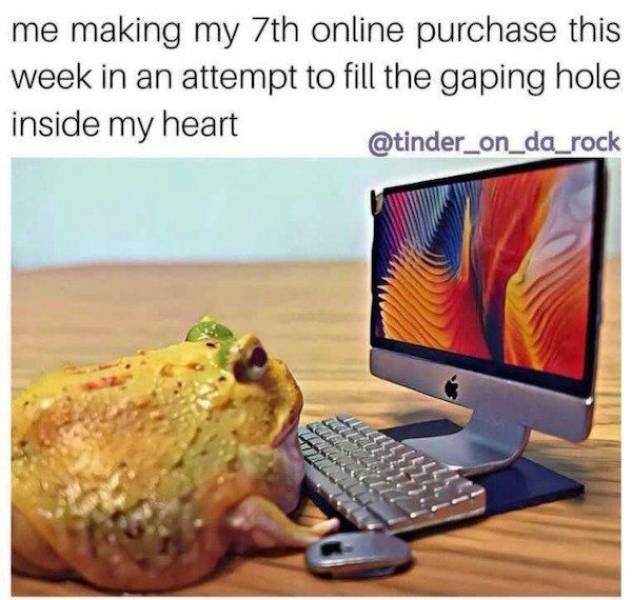 So True (36 pics)