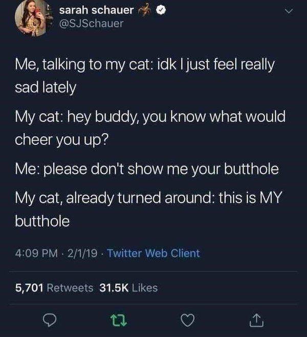 So True (36 pics)
