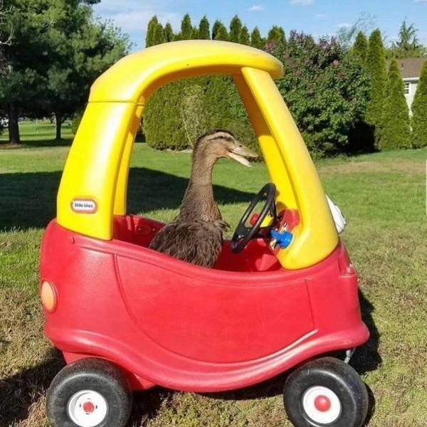 Acid Picdump 1 (83 pics)