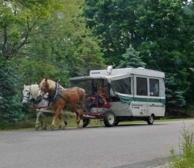 Acid Picdump 1 (83 pics)