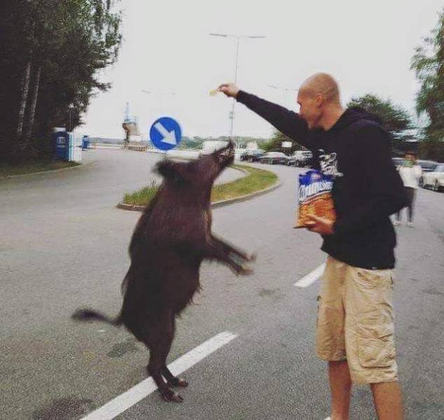Acid Picdump 1 (83 pics)