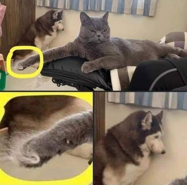 Acid Picdump 1 (83 pics)