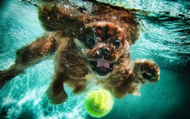Acid Picdump 2 (82 pics)
