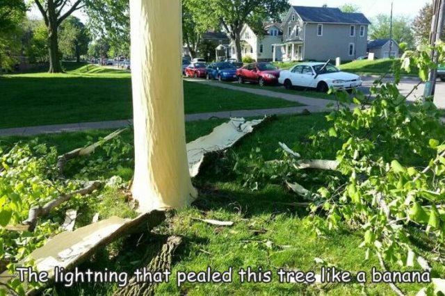 Acid Picdump 1 (83 pics)