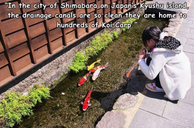 Acid Picdump 1 (83 pics)