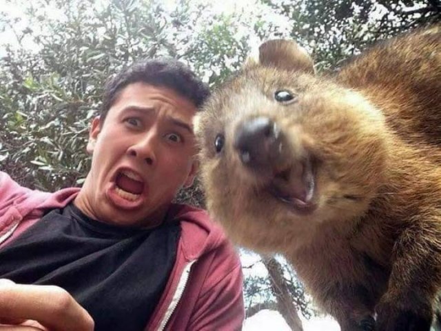 Acid Picdump 1 (83 pics)