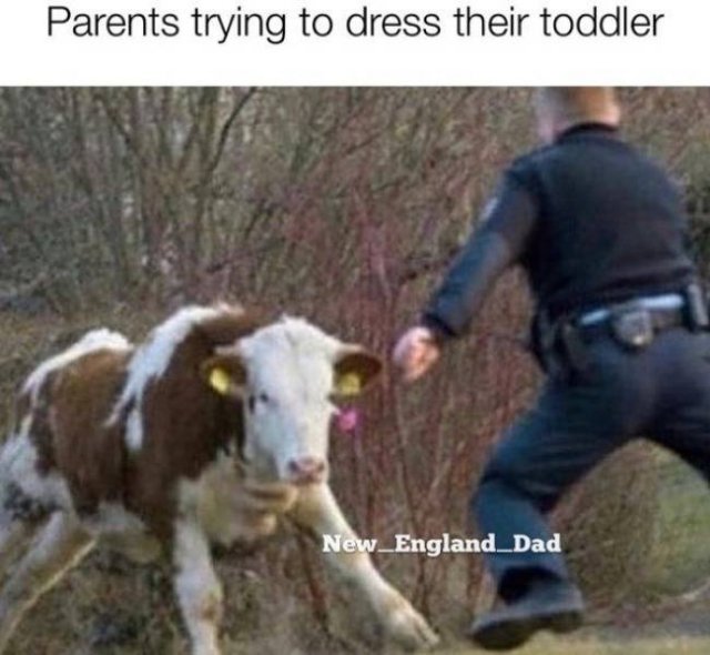 Memes For Parents (39 pics)
