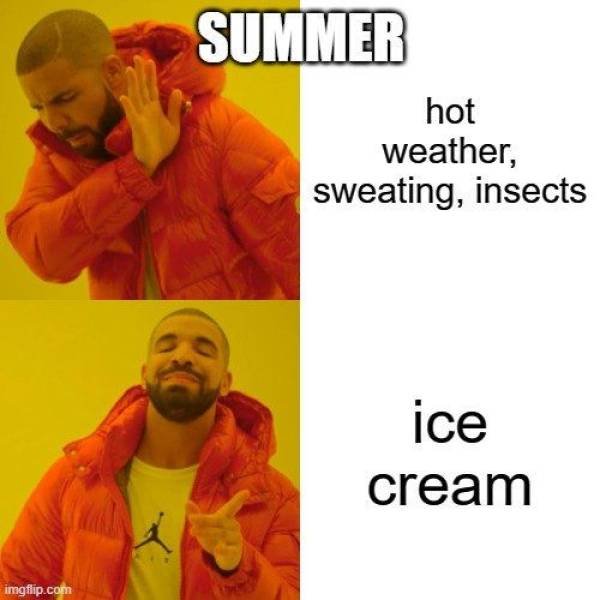 Summer Memes (30 pics)