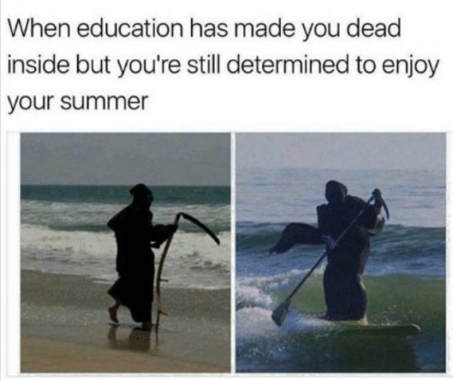 Summer Memes (30 pics)