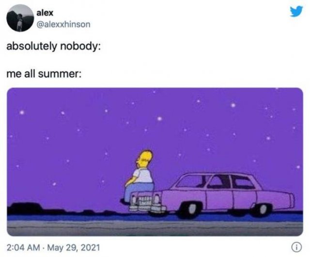 Summer Memes (30 pics)