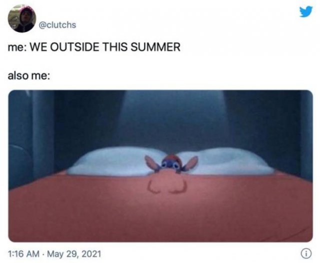 Summer Memes (30 pics)