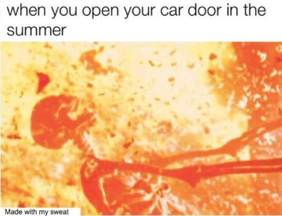 Summer Memes (30 pics)