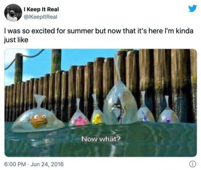 Summer Memes (30 pics)