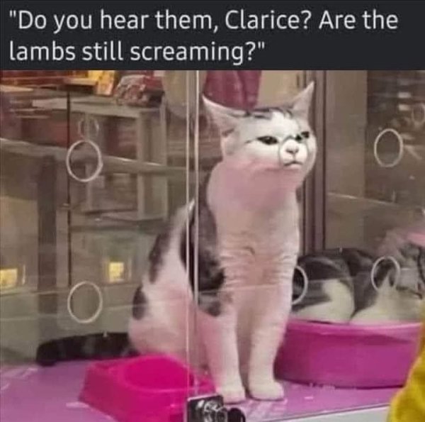 Random Funny Memes (38 pics)
