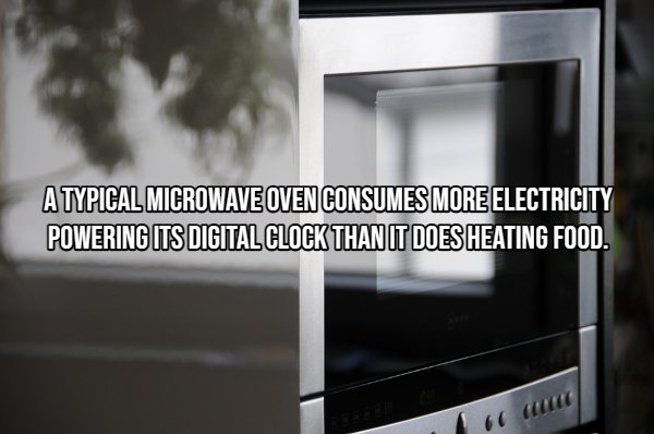 Interesting Facts (22 pics)