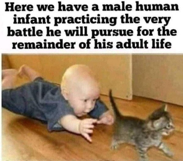 Random Funny Memes (38 pics)