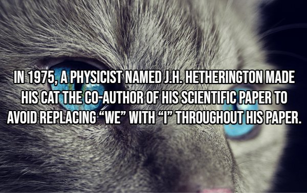 Interesting Facts (22 pics)
