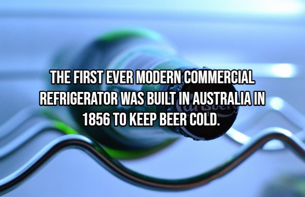 Interesting Facts (22 pics)