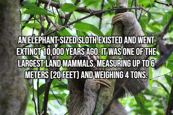 Interesting Facts (22 pics)