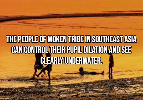 Interesting Facts (22 pics)